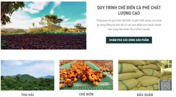 Quy trình pha chế - Ritachi Coffee - Công Ty TNHH Nosavi